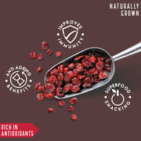 HundredYears Dried Cranberries | 250g | Superfood Snack for Gut, Skin, and Overall Wellness
